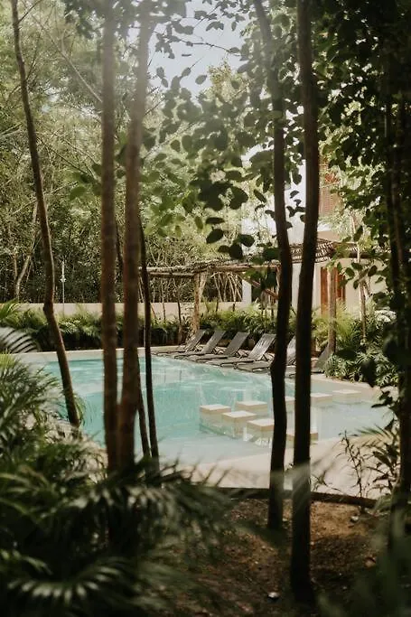 Designer Casa Coba Plunge Pool Apartment Tulum