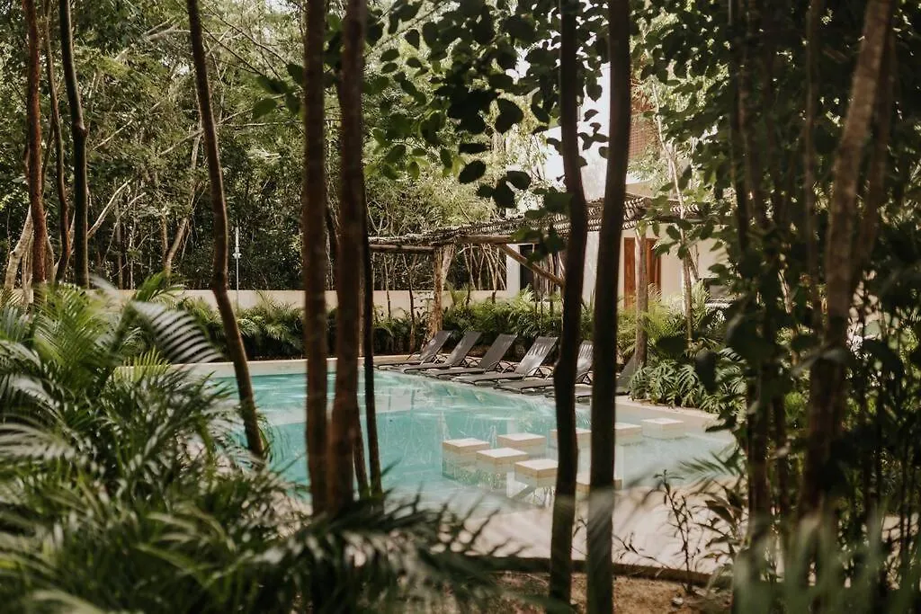 Designer Casa Coba Plunge Pool Apartment Tulum Mexico