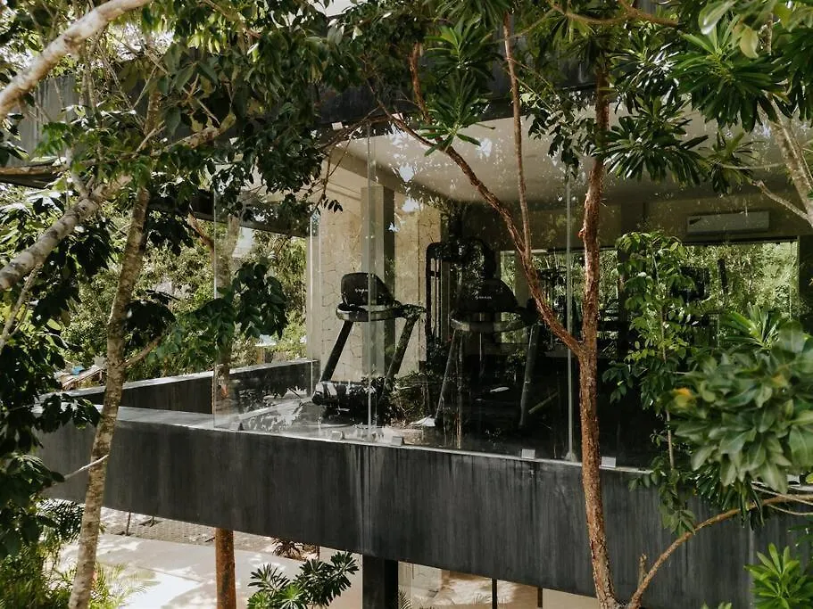 Designer Casa Coba Plunge Pool Apartment Tulum 0*,  Mexico
