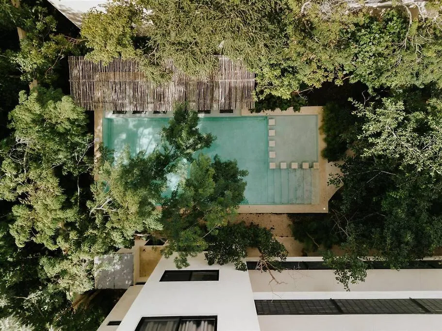 Designer Casa Coba Plunge Pool Apartment Tulum